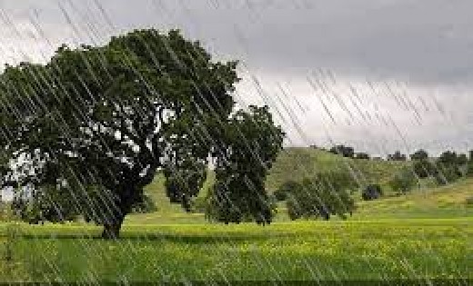 महासमुंद जिले में अब तक 265 मिलीमीटर औसत वर्षा दर्ज - CG Sandesh