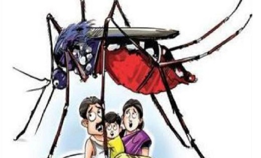 छत्तीसगढ़ में पिछले 4 वर्षों में मलेरिया के मामलों में 79 फी... - CG Sandesh