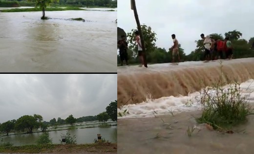 बसना, सरायपाली सहित पुरे जिले में बीती रात से बारिश का दौर जारी, खेत और नाले लबालब