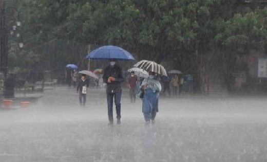 महासमुंद जिले में अब तक 935.9 मिलीमीटर औसत वर्षा दर्ज - CG Sandesh