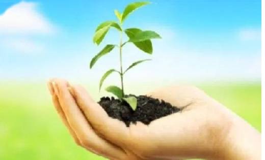 महासमुंद : आज कृष्ण जन्माष्टमी के दिन कृष्ण कुंज में होगा जी... - CG Sandesh