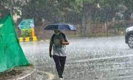 महासमुंद : जिले में अब तक 1099.8 मिलीमीटर औसत वर्षा - CG Sandesh