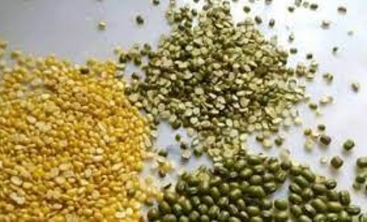 महासमुंद : उड़द, मूंग और अरहर की समर्थन मूल्य पर खरीदी की तैय... - CG Sandesh