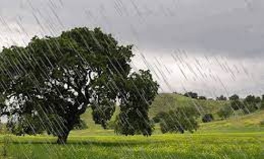 महासमुंद : जिले में अब तक 1084.5 मिलीमीटर औसत वर्षा, सर्वाधि... - CG Sandesh