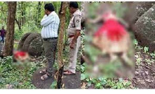  पति ने जंगल में पहले शारीरिक संबंध बनाया, फिर कर दी पत्नी क... - CG Sandesh
