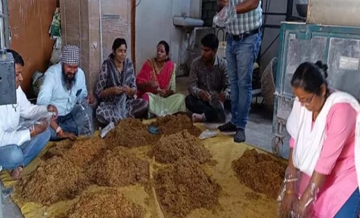  किसानों एवं महिलाओं ने सीखा मशरूम उत्पादन एवं प्रसंस्करण - CG Sandesh