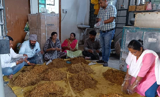 किसानों एवं महिलाओं ने सीखा मशरूम उत्पादन एवं प्रसंस्करण - CG Sandesh