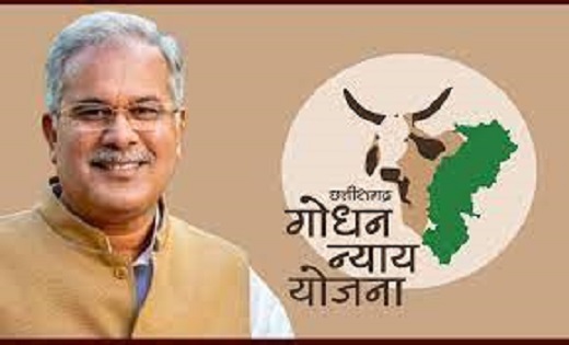 आज जारी होगी गोधन न्याय योजना की राशि... - CG Sandesh