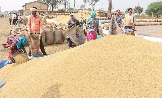 किसानों की सहुलियत के लिए प्रदेशभर में खुलेंगे 25 नवीन धान उ... - CG Sandesh