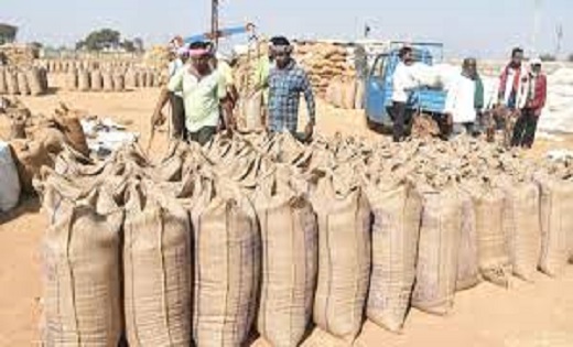 चुनावी सरगर्मियों के बीच धान खरीदी शुरू, पहले दिन 20 जिलों म... - CG Sandesh