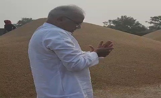 सीएम भूपेश बघेल ने “बढ़ौना” रस्म का किया निर्वहन, खेत पहुंचे... - CG Sandesh