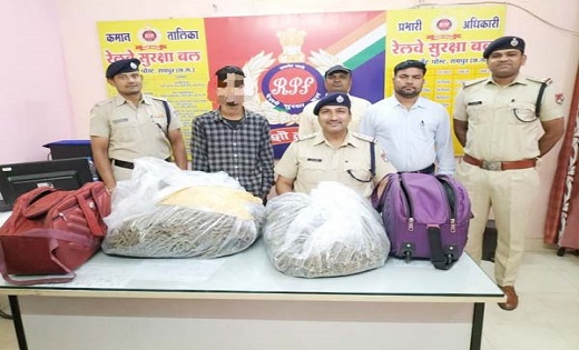 आरपीएफ ने रायपुर रेलवे स्टेशन से 2.40 लाख रूपए का गांजा पकड़... - CG Sandesh