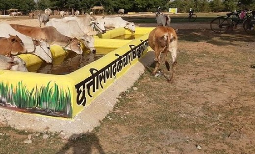 महासमुंद : गौठान में काम किये बिना ही समूह की अध्यक्ष ने सदस... - CG Sandesh