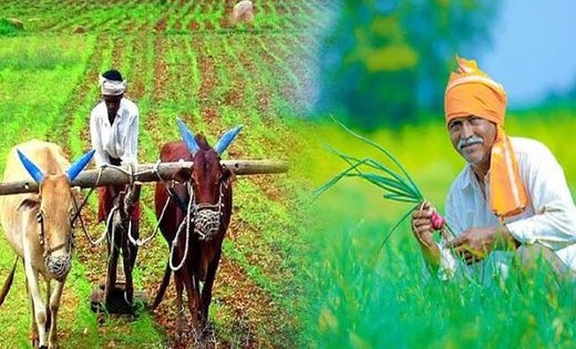 छोटे किसानों को सिंचाई, उर्वरक, कम लागत पर सुरक्षित बाजार मि... - CG Sandesh