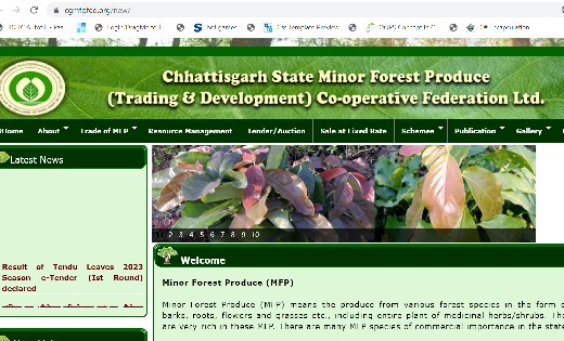 महासमुंद : 8 प्राथमिक वनोपज सहकारी समिति में प्रबंधक पद के ल... - CG Sandesh