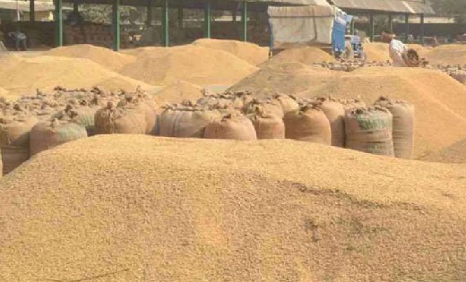 महासमुंद : 6 जनवरी को छेरछेरा का अवकाश होने पर धान विक्रय के... - CG Sandesh