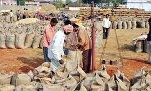 छत्तीसगढ़ में आज से धान की खरीदी शुरू, जानें कितना है समर्थन... - CG Sandesh