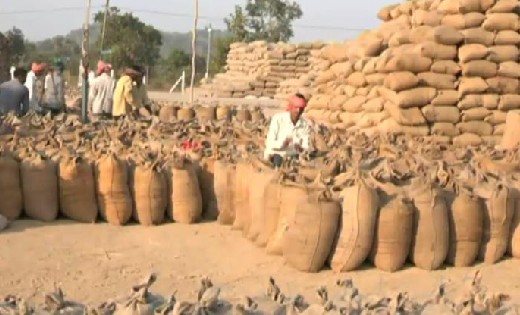 महासमुंद बना समर्थन मूल्य पर सर्वाधिक धान खरीदी करने वाला जि... - CG Sandesh
