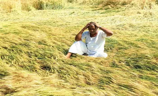 छत्तीसगढ़ में मौसम बदलने के साथ ही ग्रामीण इलाकों में ठंड का... - CG Sandesh