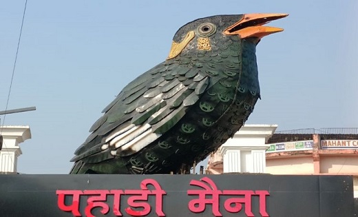 100 किलो कबाड़ से राजकीय पक्षी को किया गया है तैयार...पहाड़ी... - CG Sandesh