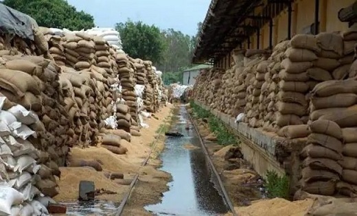 बीजेपी सरकार बनते ही खरीदी केंद्रों में धान की आवक में तेजी,... - CG Sandesh
