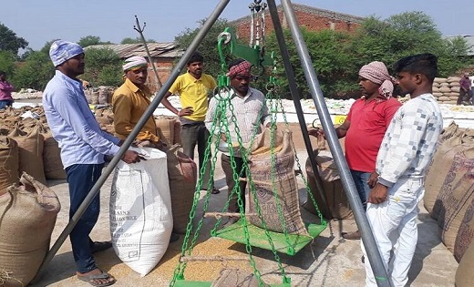 किसानों को 21 क्विंटल धान खरीदी के आदेश का इंतजार, क्या होगा... - CG Sandesh