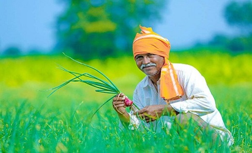 किसानों के लिए खुशखबरी, 25 दिसंबर को मिलेगा दो साल का बोनस 3... - CG Sandesh
