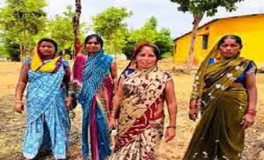 महिलाओं की आय का जरिया बना गौठान में मुर्गी पालन व मछली पाल... - CG Sandesh