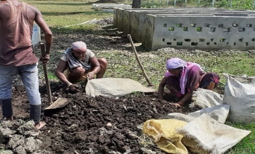 चारपारा गौठान की दीदियां बनी लखपति...वर्मी कंपोस्ट से लाभांश... - CG Sandesh
