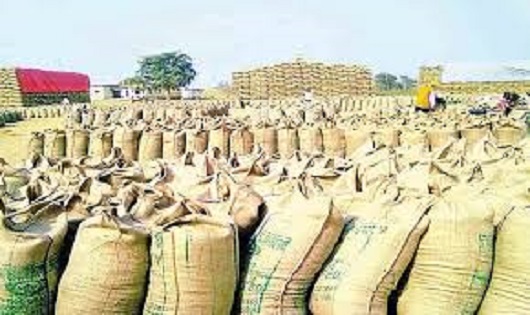 CM की बड़ी घोषणा : समर्थन मूल्य पर रबी की धान खरीदेगी प्रदेश... - CG Sandesh