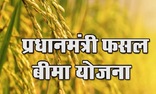 महासमुंद : राष्ट्रीय फसल बीमा पोर्टल में छूटे हुए कृषकों का ... - CG Sandesh