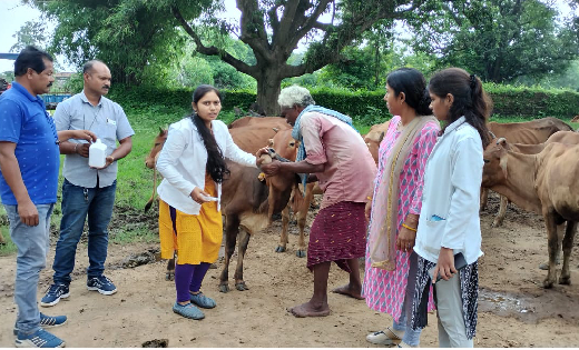 महासमुंद : मोबाइल पशु चिकित्सा इकाई द्वारा कुल 279 पशुओं का ... - CG Sandesh