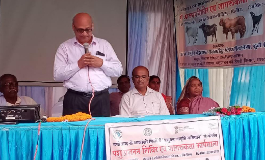 पिथौरा : ग्राम सोनासिल्ली में पशुधन जागृति अभियान अंतर्गत शि... - CG Sandesh