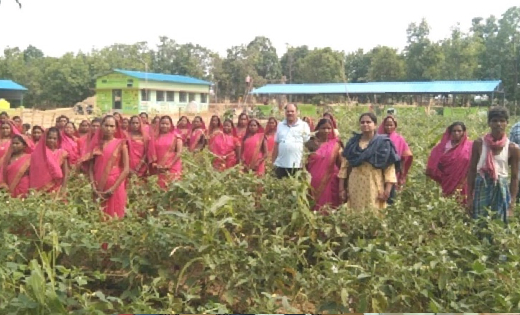 पिथौरा : गोड़बहाल गौठान बना मॉडल आवर्ती चराई क्षेत्र - CG Sandesh