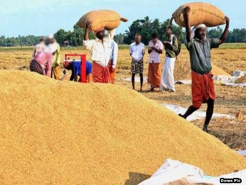 CG : किसानों के लिए काम की खबर, इस तारीख तक करा लें समर्थन म... - CG Sandesh