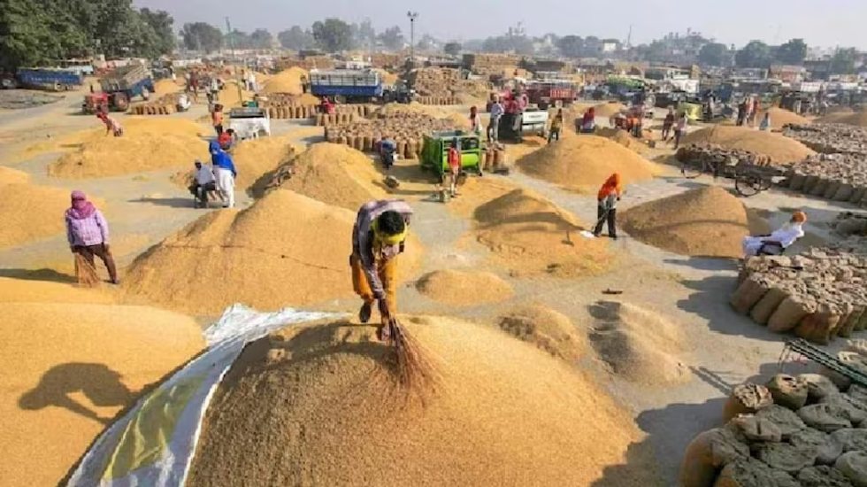 CG : इलेक्ट्रॉनिक तौल यंत्र के माध्यम से होगी धान खरीदी, इस ... - CG Sandesh