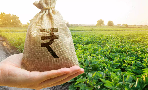 छत्तीसगढ़ : किसानों को रबी सीजन के लिए किया जा रहा कृषि ऋण वि... - CG Sandesh