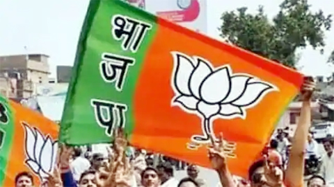 हसदेव बागो में पेड़ों के कत्लेआम पर जवाब दें भूपेश- सिंहदेव :... - CG Sandesh