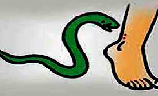 सांकरा : सांप के डसने से 13 वर्षीय बालिका की मौत - CG Sandesh