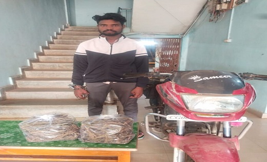 RAIPUR CRIME NEWS : गांजा के साथ एक आरोपी गिरफ्तार - CG Sandesh