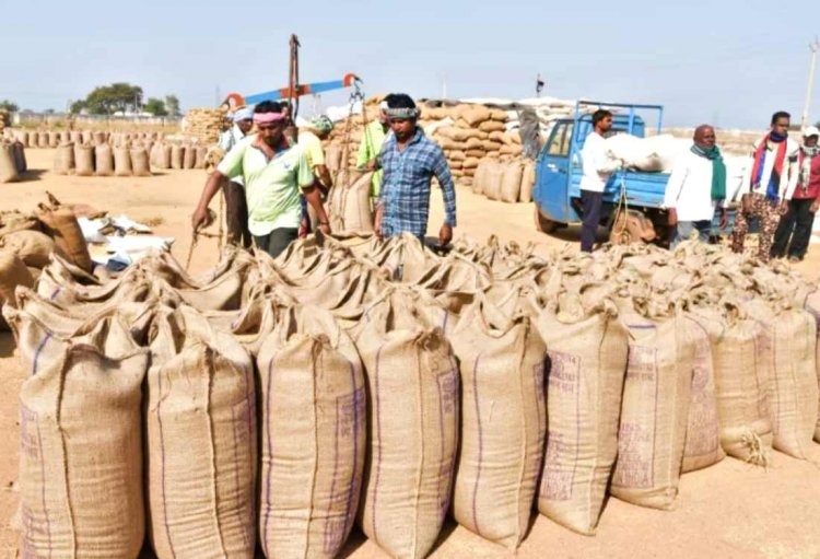 CG : मुख्यमंत्री की पहल पर सुगमता से हो रही है धान की खरीदी,... - CG Sandesh
