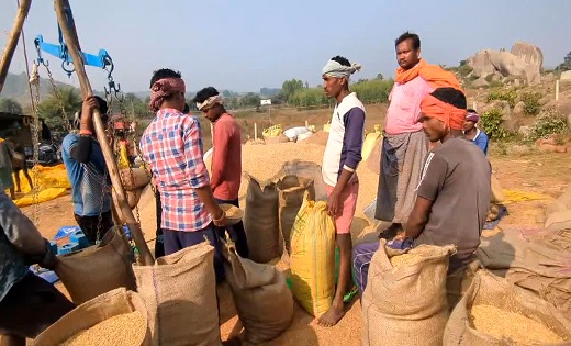 77 खरीदी केंद्रों में धान का स्टॉक बफर लिमिट के पार,उठाव नही... - CG Sandesh
