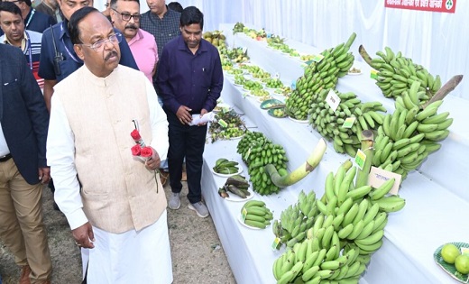 फूलों की खेती में उत्कृष्ट कार्य करने वाले किसानों को किया ज... - CG Sandesh