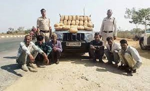 बोलेरो से 25 लाख का गांजा जब्त, पकड़ में आए 6 तस्कर - CG Sandesh