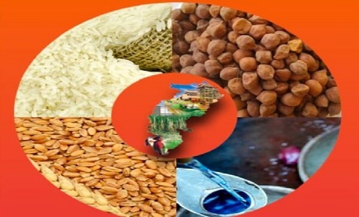 छत्तीसगढ़ में 62 लाख 69 हजार राशन कार्डधारियों ने किया नवीनी... - CG Sandesh