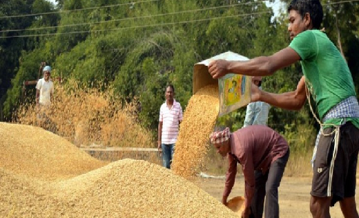 छत्तीसगढ़ : धान खरीदी केन्द्रों में शनिवार और रविवार को भी हो... - CG Sandesh