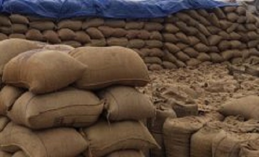 छत्तीसगढ़ में अब तक किसानों से 144.92 लाख मीट्रिक टन धान की ... - CG Sandesh