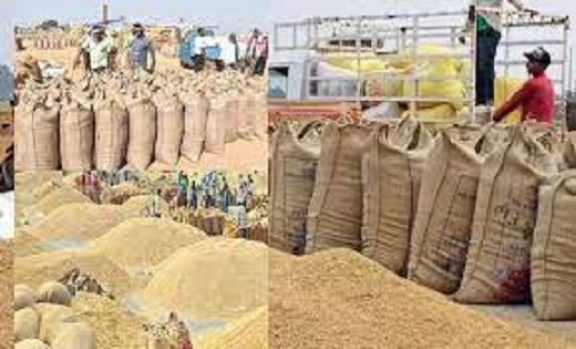 छत्तीसगढ़ निर्माण के बाद अब तक की सबसे बड़ी धान खरीदी..24 लाख ... - CG Sandesh