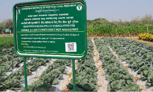 छत्तीसगढ़ के किसानों ने सीखे उन्नत उद्यानिकी के गुर - CG Sandesh