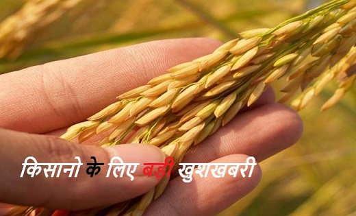 कृषक उन्नति योजना के तहत किसानों के खाते में आएगी राशि - CG Sandesh